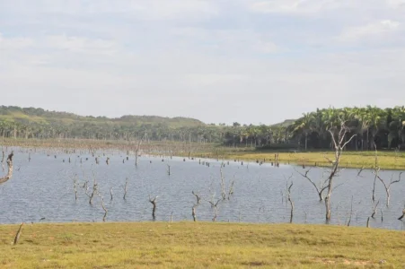 Oprotunidade Lago do Manso