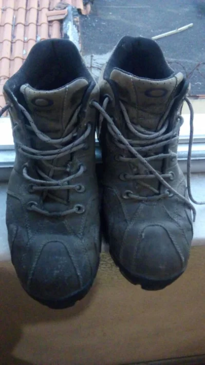 Bota Oakley