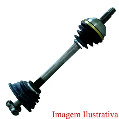 Homocicéticas Gol Mi