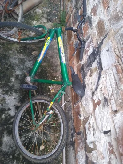 2 Bicicleta