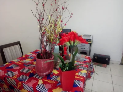 Varios Enfeites Casa