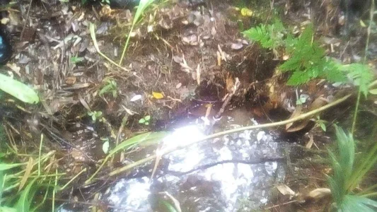 Terreno em Taiacubepa 10.200.00m2 com Quatro Nascente de água Dentró