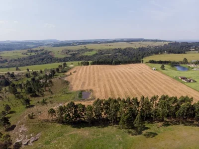Vendo 2 áreas em São Luiz do Purunã - Balsa Nova