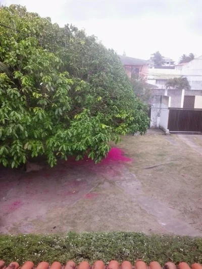 Terreno para Construtor