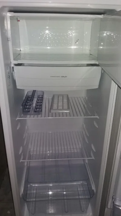 Geladeira Refrigerador Electrolux 01 Porta