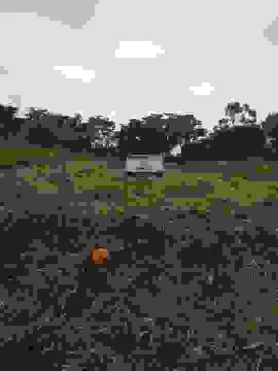 Terreno Lote