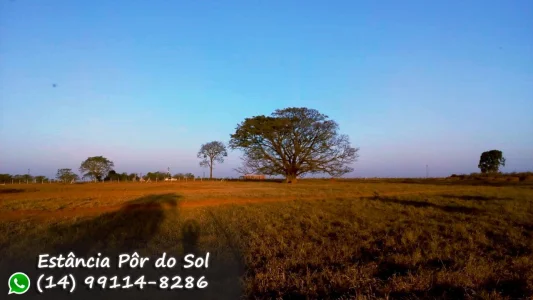 Ranchos Lindos para Você