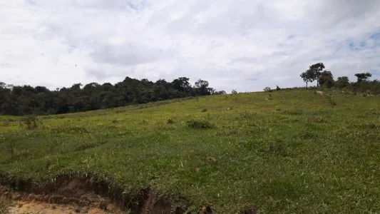Chácaras em Barreiras (bonfim) e Eixo Quebrado) ( Brumadinho