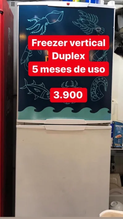 Freezer Vertical Duplex