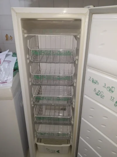 Freezer Vertical