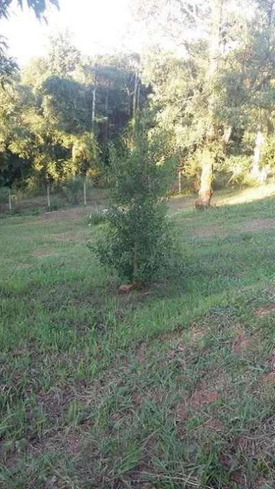 Terreno - Excelente Oportunidade