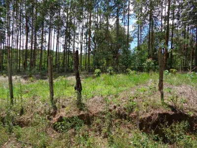 Terreno em Bofete