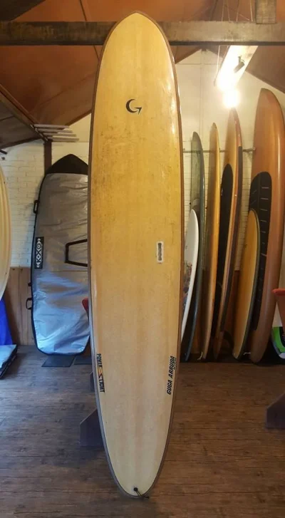 Longboard 9'0 Powerlight