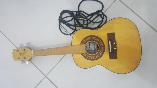 Cavaquinho Novo