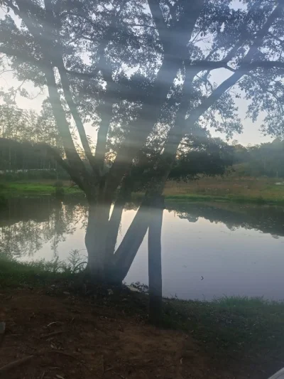 Lotes à Venda