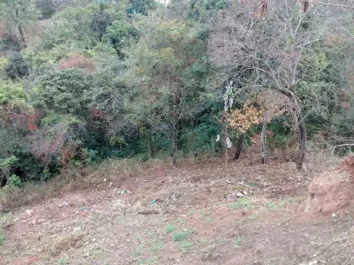 Lote 503 Metros Quadrados