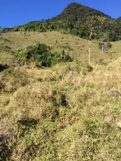 Area para Pousada