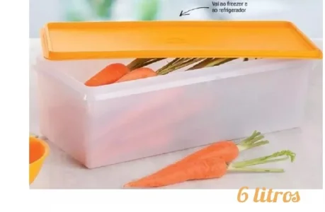 Tupperware Mega Caixa 06 Litros