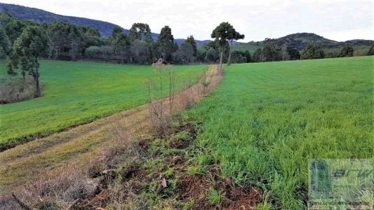 ão José do Cerrito 98.000m2