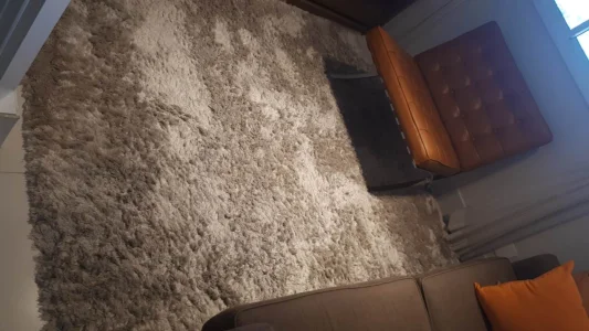 Tapete para Sala