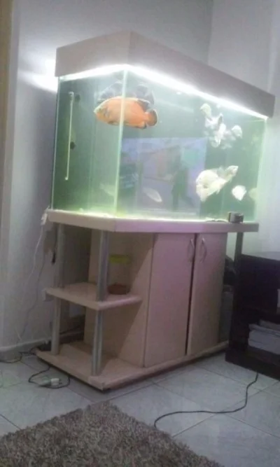Aquario