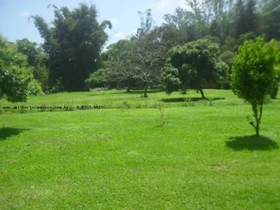 Terreno para Venda em Ribeirão Pires / SP no Bairro Ouro Fino Paulista