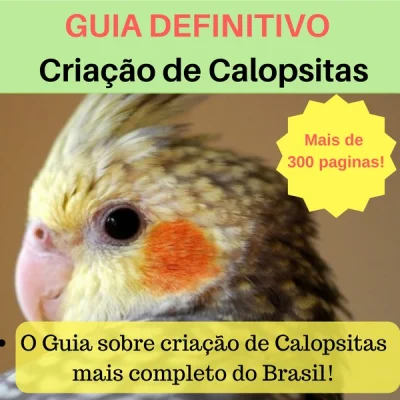 Guia Definitivo Criação de Calopsitas