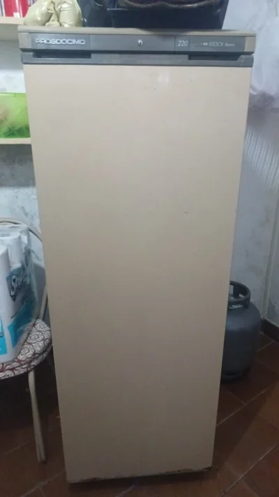 Freezer Vertical