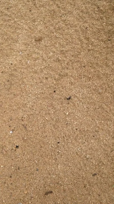 Areia de Rio e Brita !