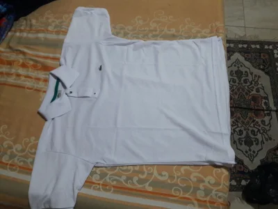 Camisetas Gola Polo e Gola em V