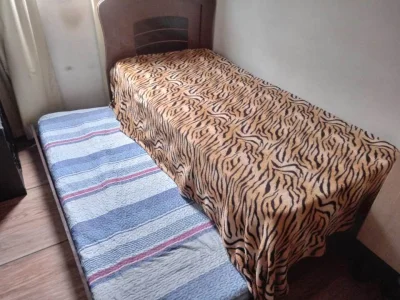 Vendo Bi Cama com Colchões