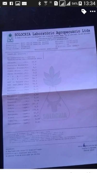 Farelo do Coco Babaçu