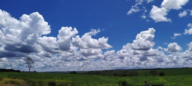 Vendo Fazenda 1546 Hectares
