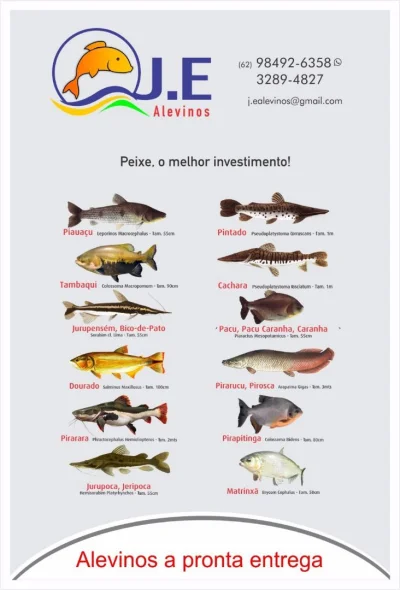 Peixes Alevinos