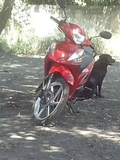 Moto 50 Shineray Jet 50