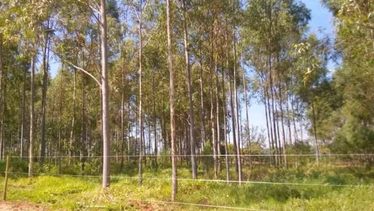 Chácara Proxima a Cidade