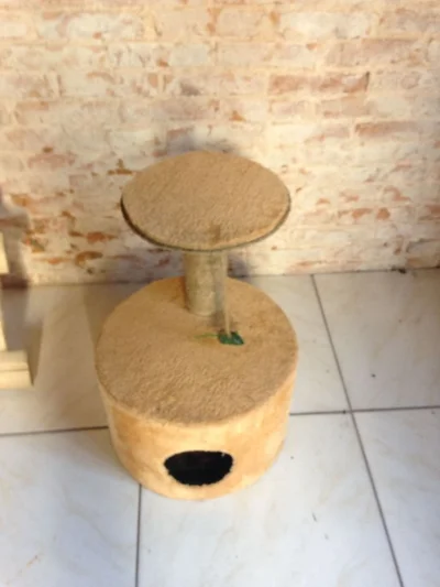 Arranhador com Brinde*