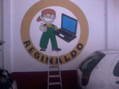 Pintor Profissional