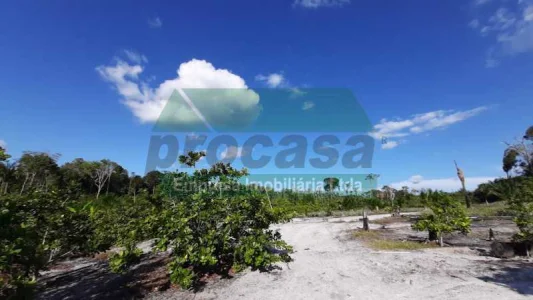 Vende SE Sítio na Estrada de Novo Airão