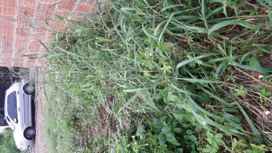 Terreno no Jardim Jatobá