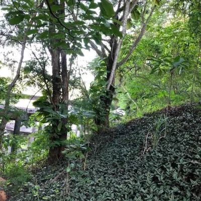 Condomínio Uba 2 - Exata Opção de Terreno em Itaipú