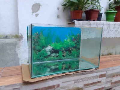 Aquário 20 Lts / R$ 60