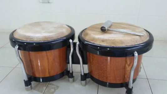 Bongo Percussão