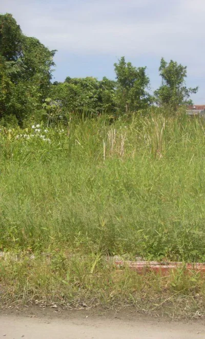 Oportunidade Terreno Escriturado em Mongaguá Boa Localização