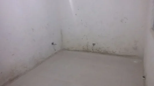 Casa com Terreno