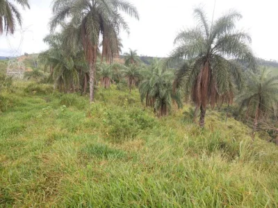Fazendas à Venda