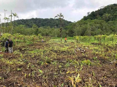 Terreno de 1000 m2 com Documento à Venda em Itanhaém
