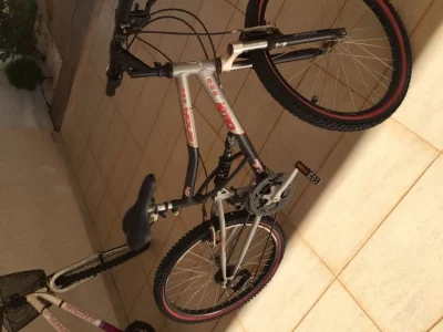 Ari 21 V