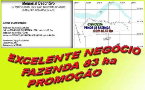 Fazenda 83,7 Ha - Oportunidade única
