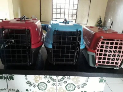 Caixa para Cães e Gatos